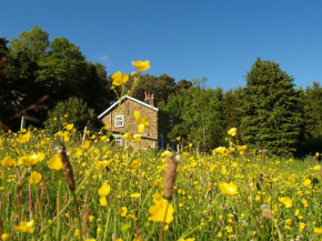 Plantation Cottage